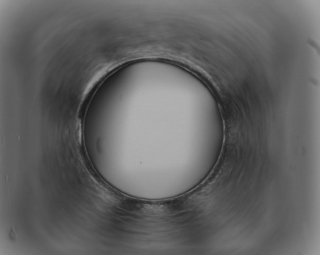 X0000091301509200708241040