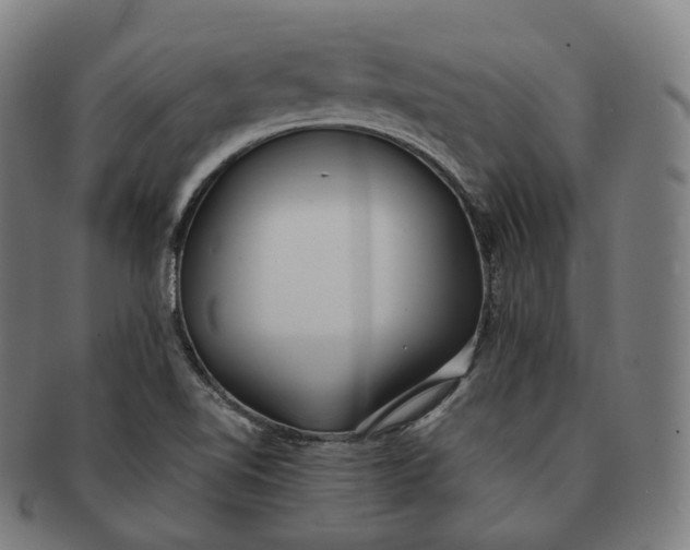 X0000091301510200708241040