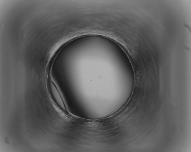 X0000091301511200708241040