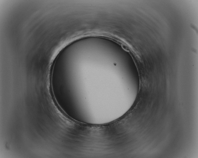 X0000091301512200708241040