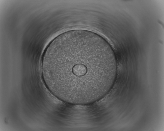 X0000091301514200708241040