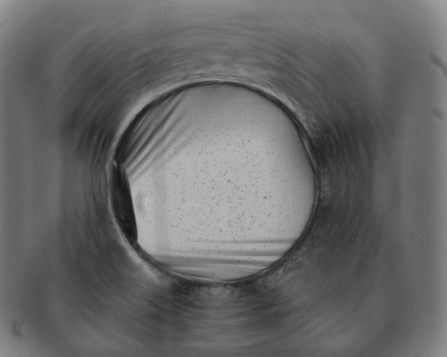 X0000091301515200708241040