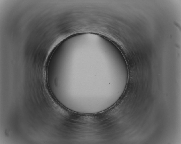 X0000091301517200708241040