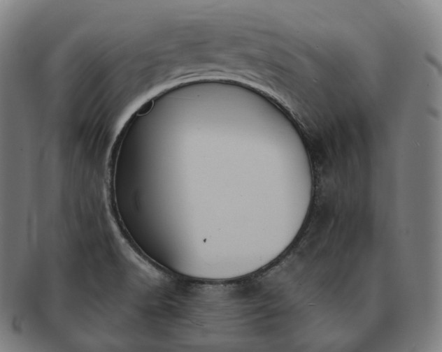 X0000091301518200708241040