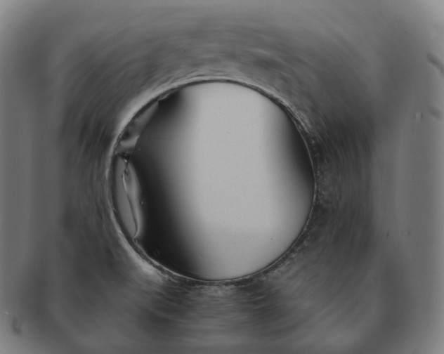 X0000091301519200708241040