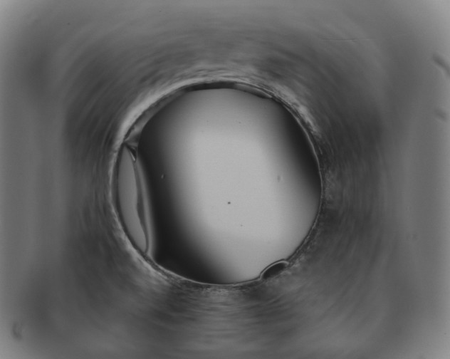 X0000091301520200708241040