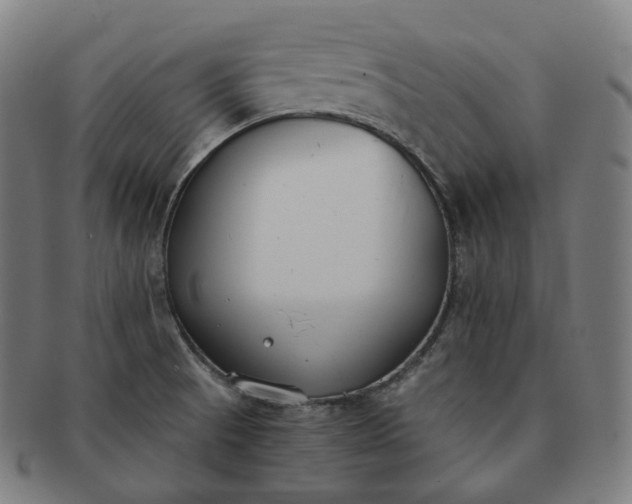 X0000091301521200708241040