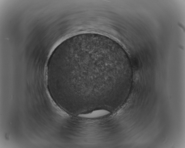 X0000091301522200708241040