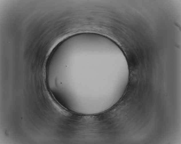 X0000091301523200708241040