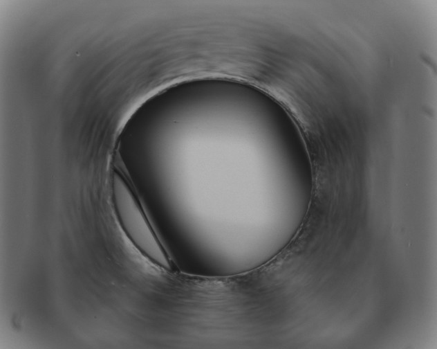 X0000091301524200708241040