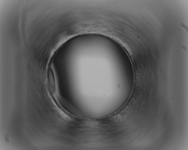 X0000091301525200708241040