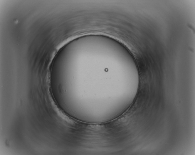 X0000091301526200708241040