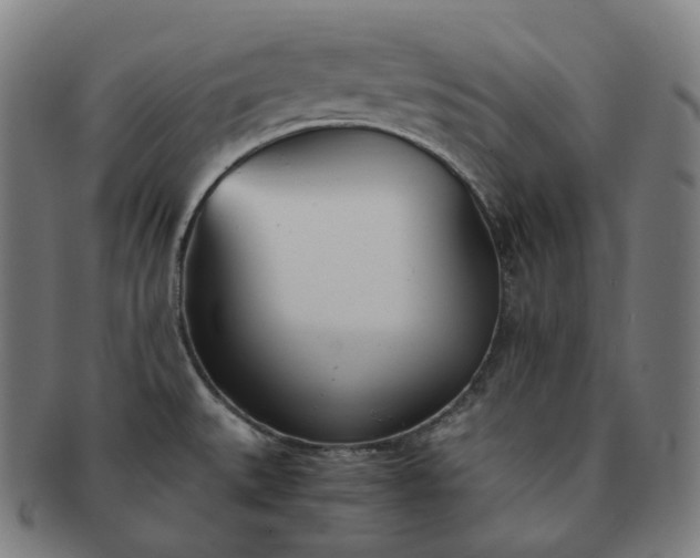 X0000091301527200708241040