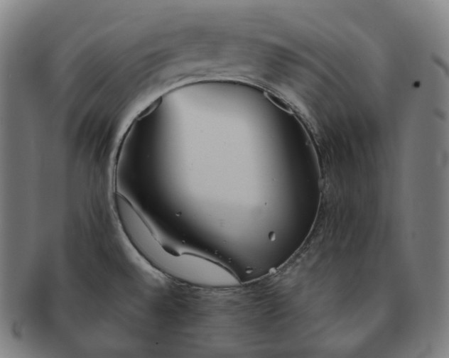 X0000091301528200708241040