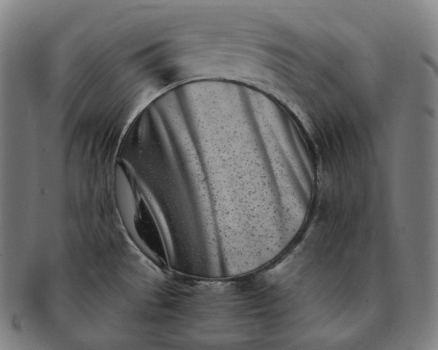 X0000091301529200708241040