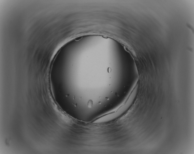 X0000091301530200708241040