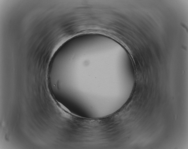 X0000091301533200708241040