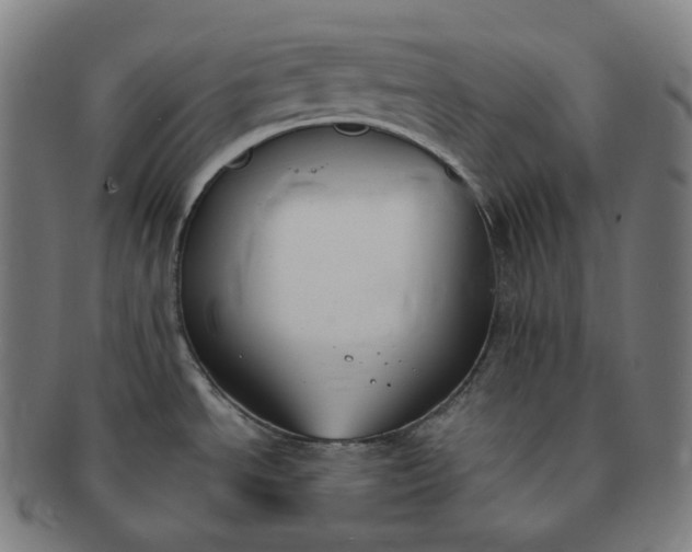 X0000091301534200708241040