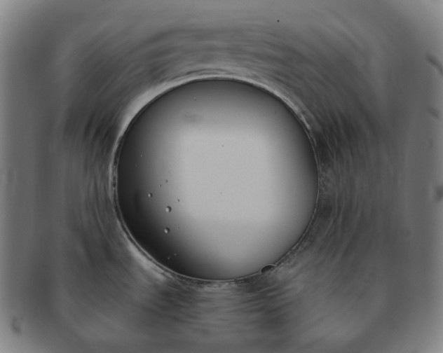 X0000091301535200708241040