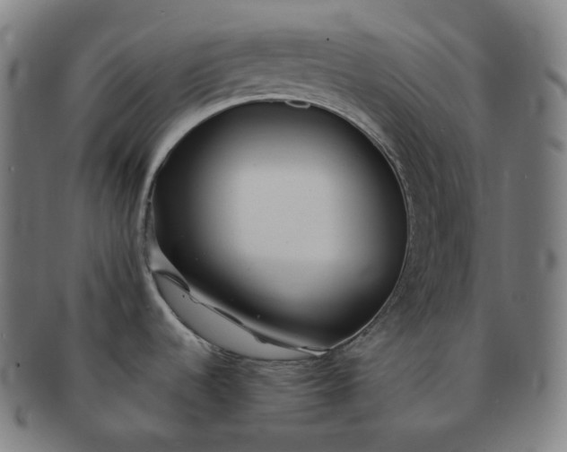 X0000091301536200708241040