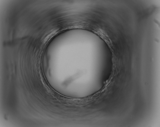 X0000091300001200708311346