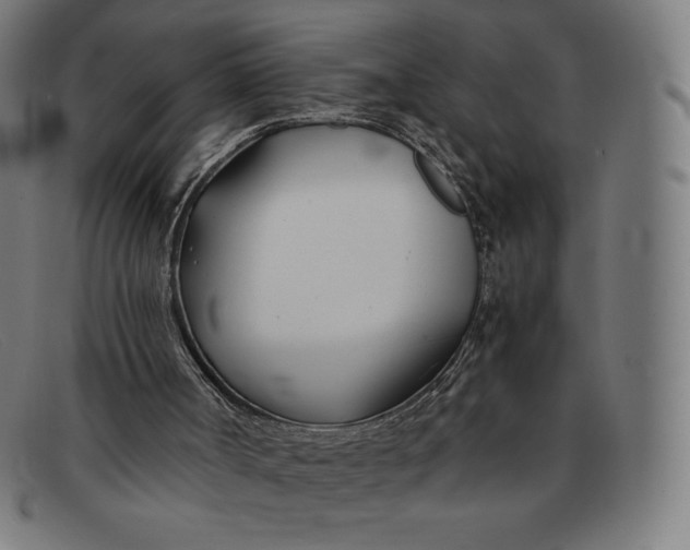 X0000091300002200708311346