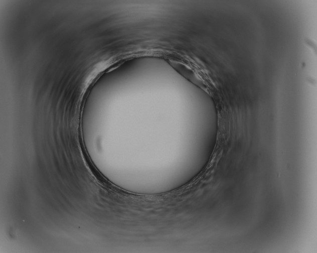 X0000091300003200708311346