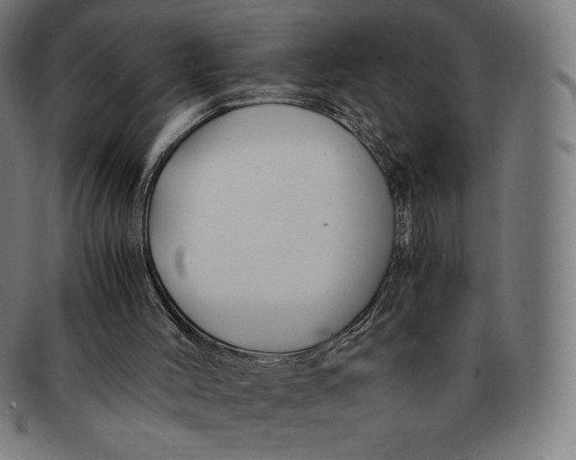 X0000091300004200708311346