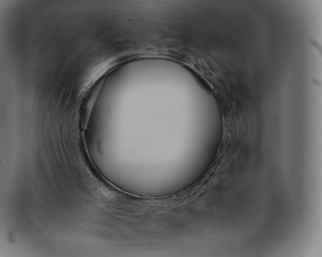 X0000091300005200708311346