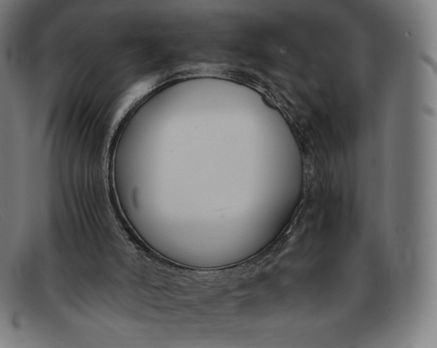 X0000091300006200708311346