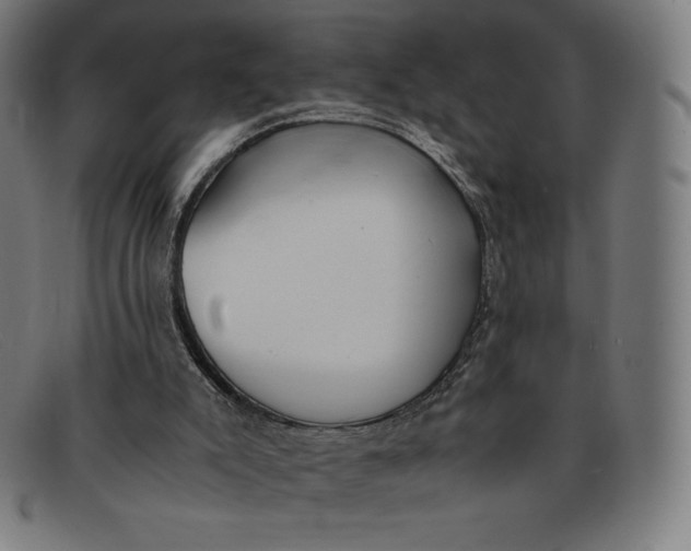 X0000091300007200708311346