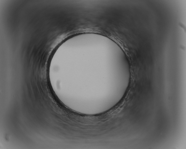 X0000091300008200708311346