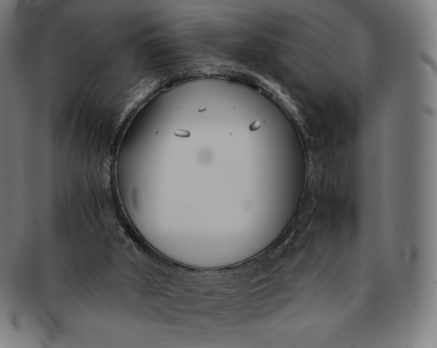 X0000091300010200708311346