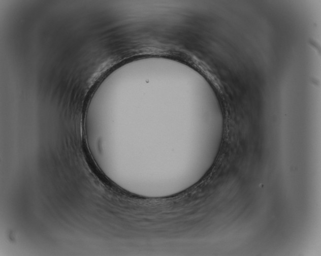 X0000091300011200708311346