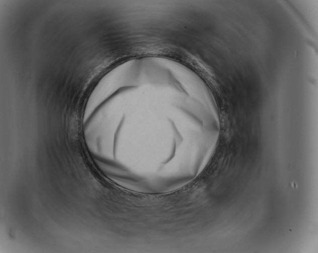 X0000091300012200708311346