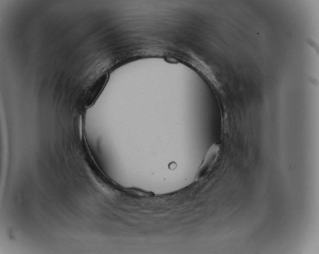 X0000091300013200708311346