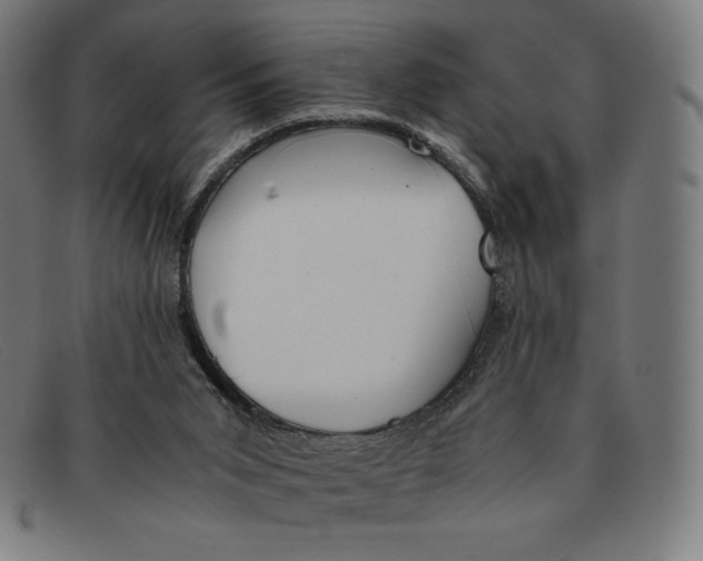 X0000091300015200708311346