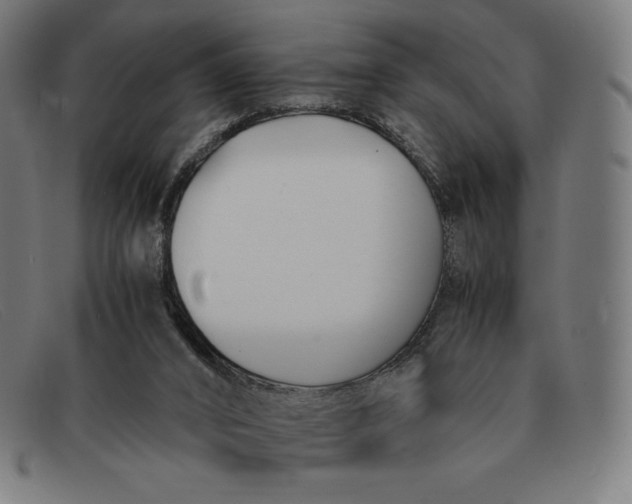 X0000091300016200708311346