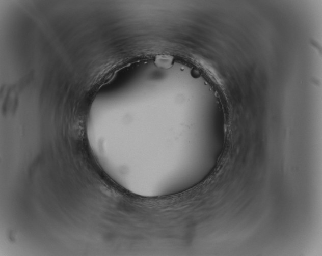 X0000091300017200708311346