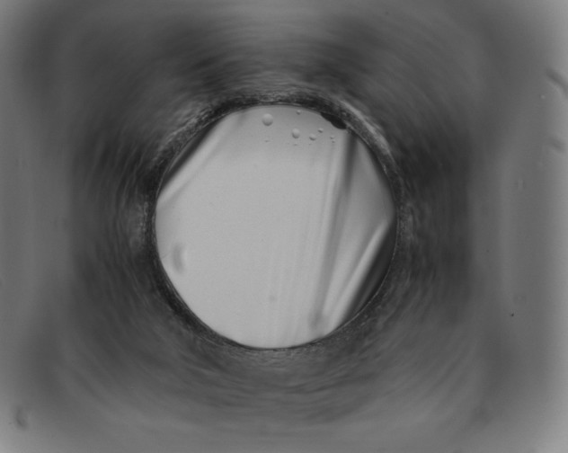 X0000091300018200708311346