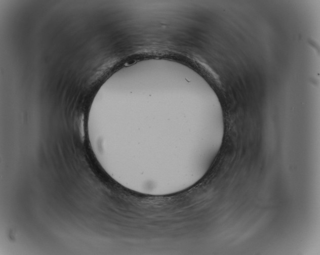 X0000091300020200708311346