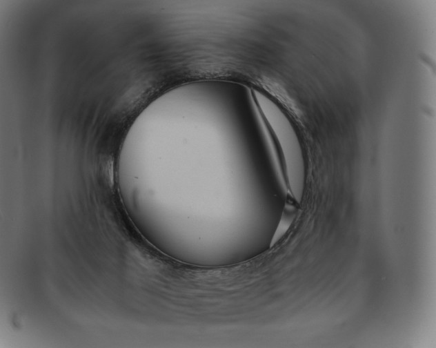 X0000091300021200708311346