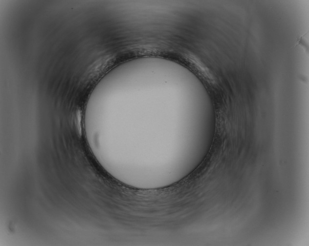 X0000091300022200708311345