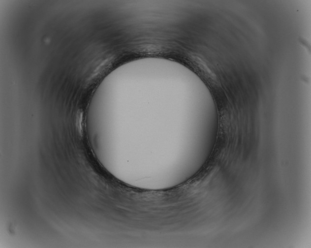 X0000091300024200708311345