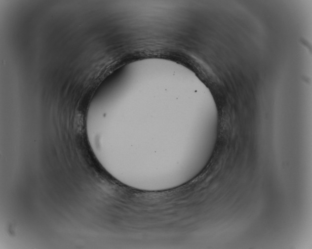 X0000091300025200708311345