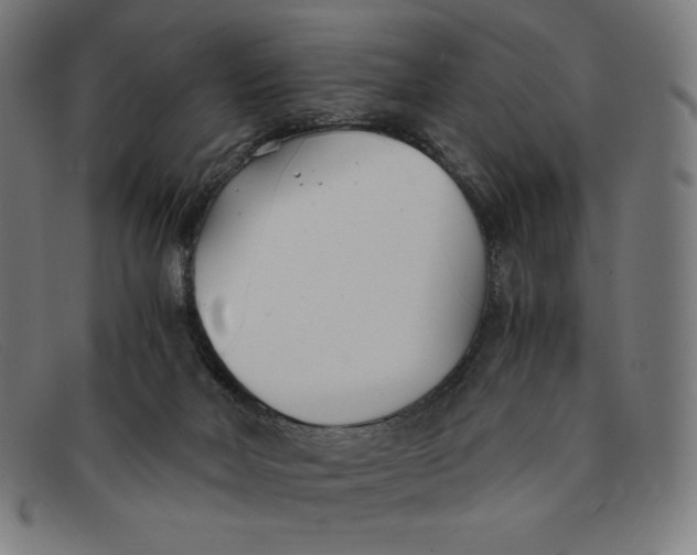 X0000091300026200708311345