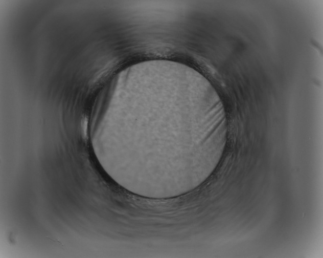 X0000091300027200708311345