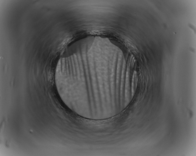 X0000091300031200708311345