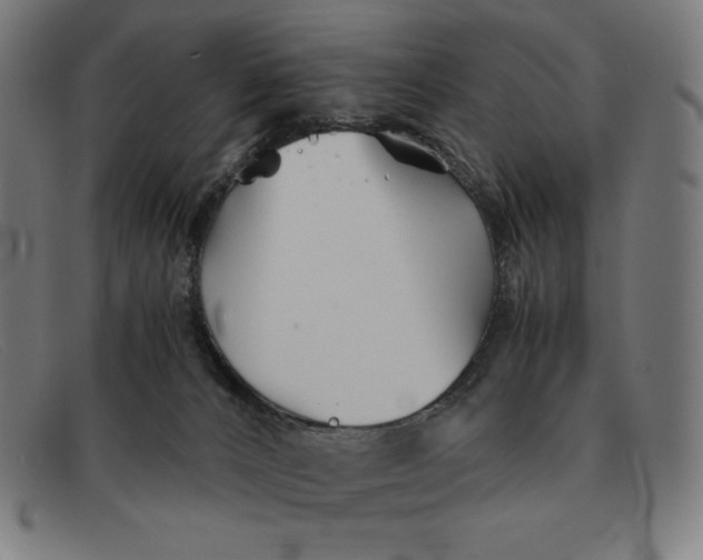 X0000091300032200708311345