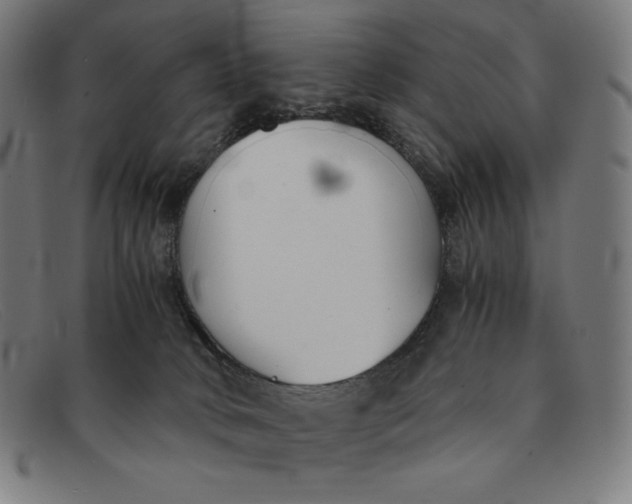 X0000091300034200708311345